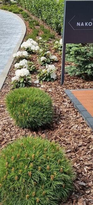 OGRODY SZPAKOWSKI. ZAKŁADANIE i PIELĘGNACJA OGRODÓW.