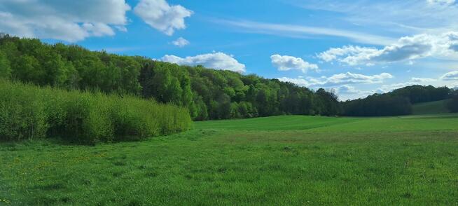 Działka budowlana Przywidz