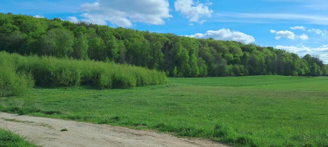 Działka budowlana Przywidz