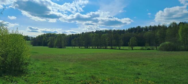 Działka budowlana Przywidz