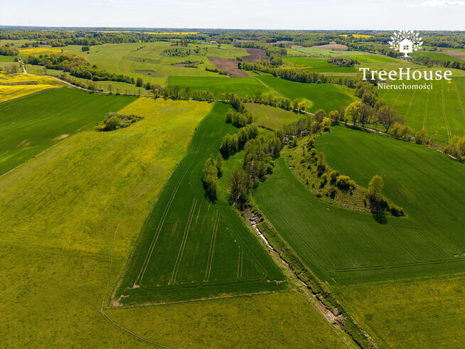 Działka rolna w Kabinach