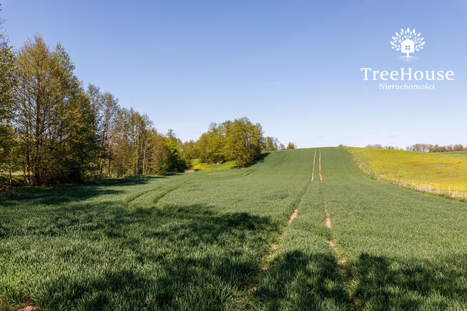 Działka rolna w Kabinach
