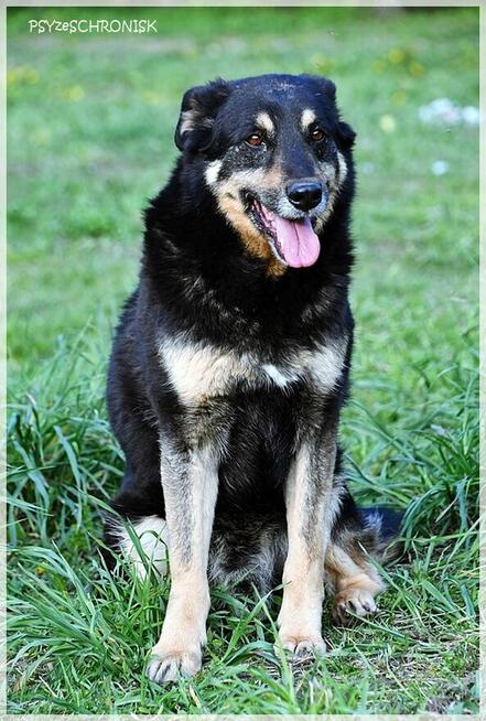 Borys – nie dla niego luksusy, wystarczy kochający opiekun