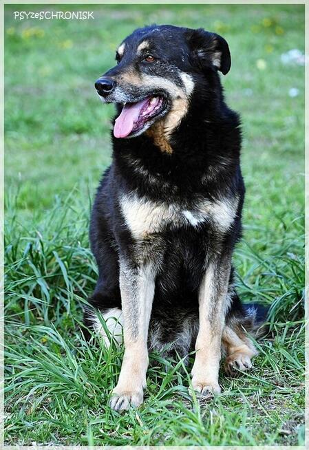 Borys – nie dla niego luksusy, wystarczy kochający opiekun