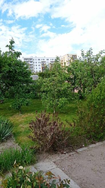 Działka ROD Siarkopol przy ul. Św. Barbary w Tarnobrzegu