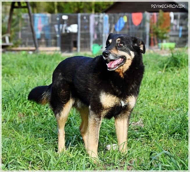 Borys – nie dla niego luksusy, wystarczy kochający opiekun