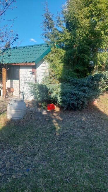 Sprzedam działkę ROD