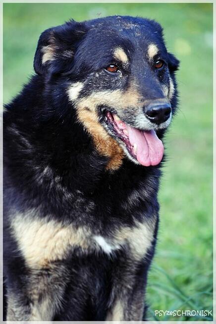 Borys – nie dla niego luksusy, wystarczy kochający opiekun