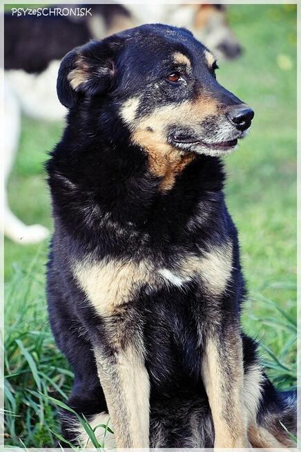 Borys – nie dla niego luksusy, wystarczy kochający opiekun