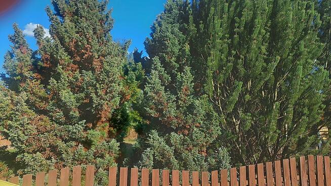 Sprzedam działkę ROD