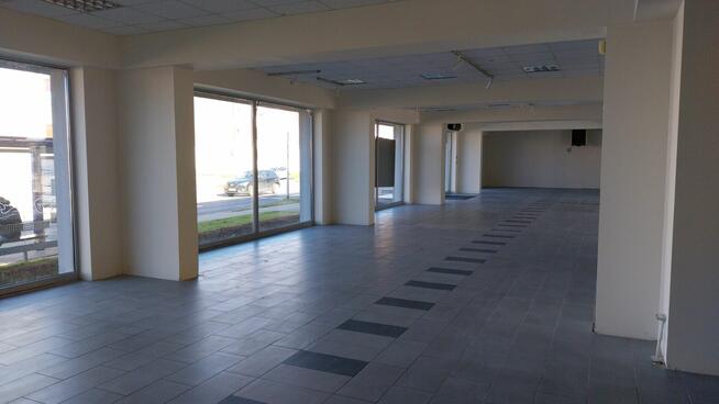 Lokal na wynajem w świetnej lokalizacji - ul. Sienkiewicza 1