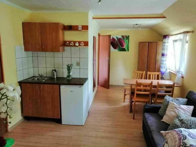 Na górce Sarbinowo Pokoje i domki nad morzem 100 m do plaży!