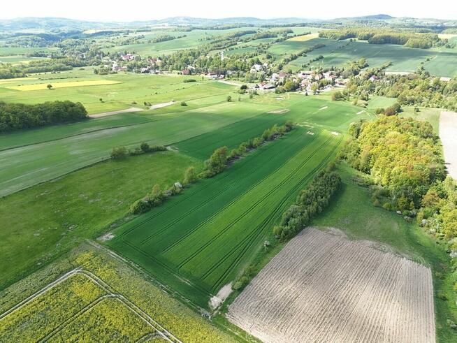 Działka z potencjałem 2,48 ha POMOCNE