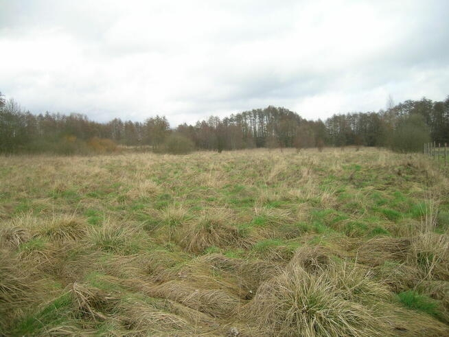 Działka Stargard-Strachocin