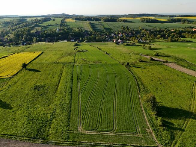 Działka rolka POMOCNE 3,25 ha