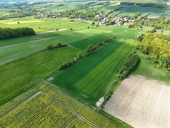 Działka z potencjałem 2,48 ha POMOCNE