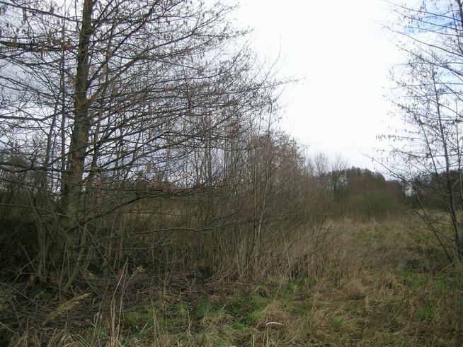 Działka Stargard-Strachocin