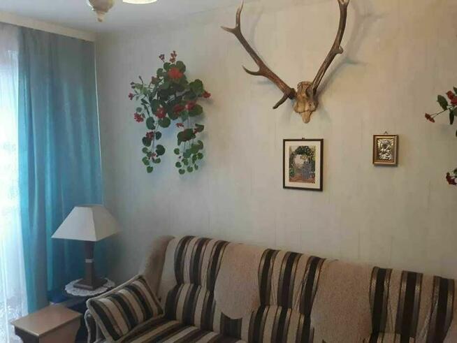 Sprzedam 3 pokoje mieszkanie Karolew –Norwida hit komunikac