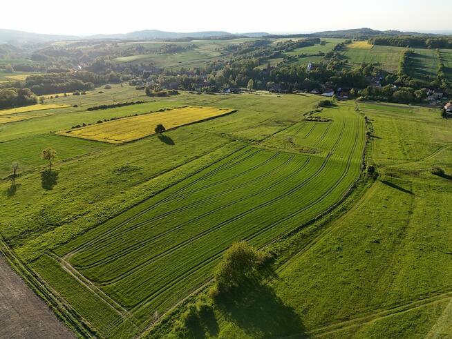 Działka rolka POMOCNE 3,25 ha
