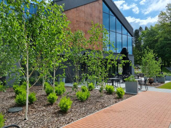 ZAKŁADANIE I PIELĘGNACJA OGRODÓW Ogrody SZPAKOWSKI 502138859