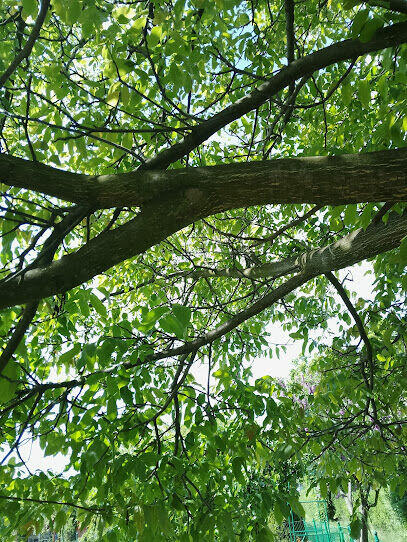 DPRZEDAM DZIAŁKĘ REKREACYJNĄ