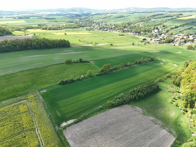 Działka z potencjałem 2,48 ha POMOCNE
