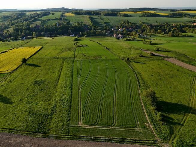 Działka rolka POMOCNE 3,25 ha