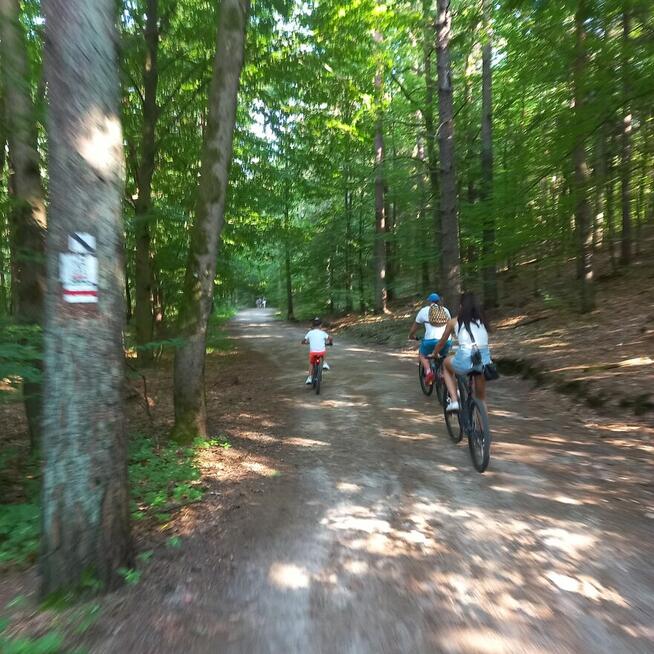 Wypożyczalnia Rowerów Roztocze