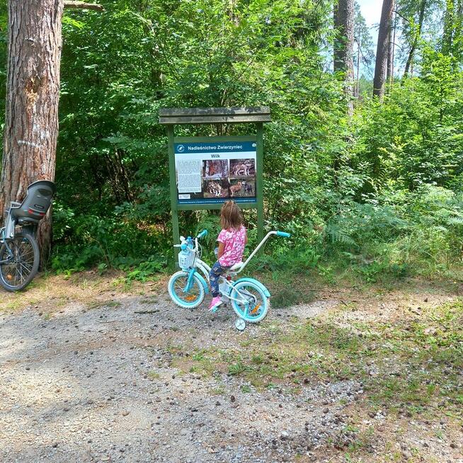 Wypożyczalnia Rowerów Roztocze