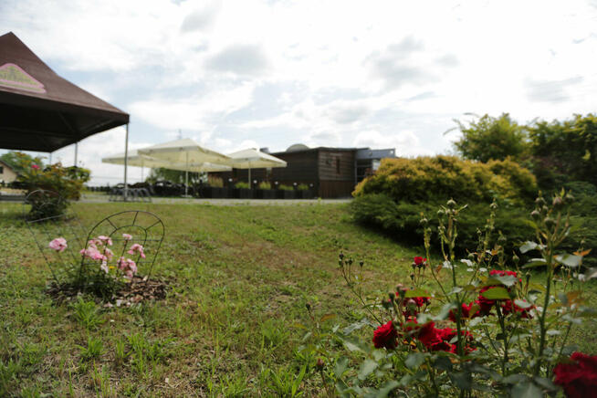 Lokal użytkowy Rybnik