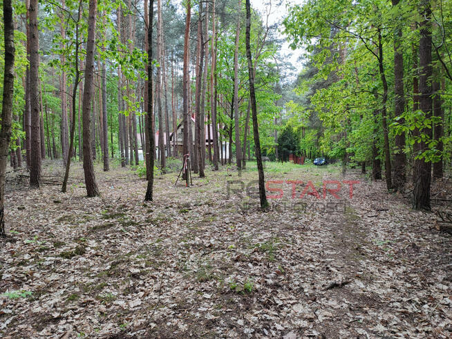 Działka inwestycyjna Siestrzeń gm. Żabia Wola,