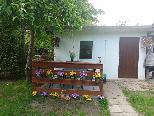 Działka ROD mokotow