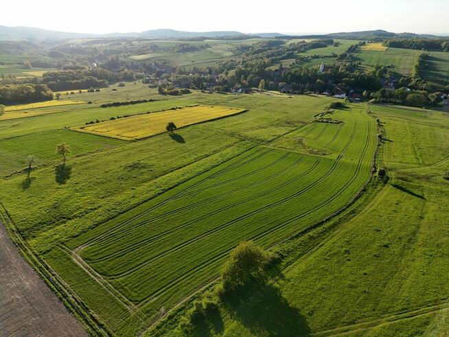 Działka rolka POMOCNE 3,25 ha