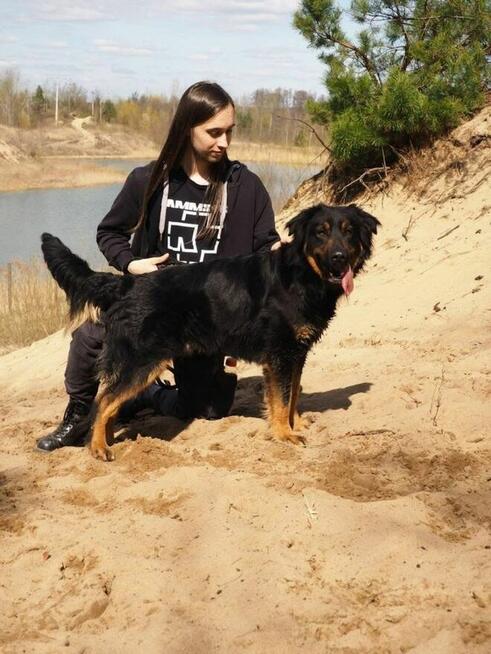 Jugo-piękny dostojny młodzieniec czeka na dom-adopcja