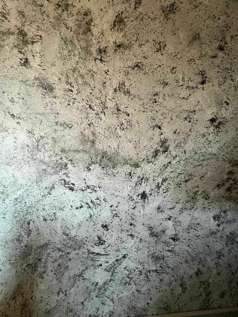 Usługi remontowo-wykończeniowe oraz budowlane.