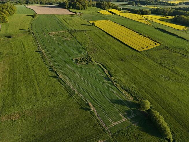 Działka rolka POMOCNE 3,25 ha
