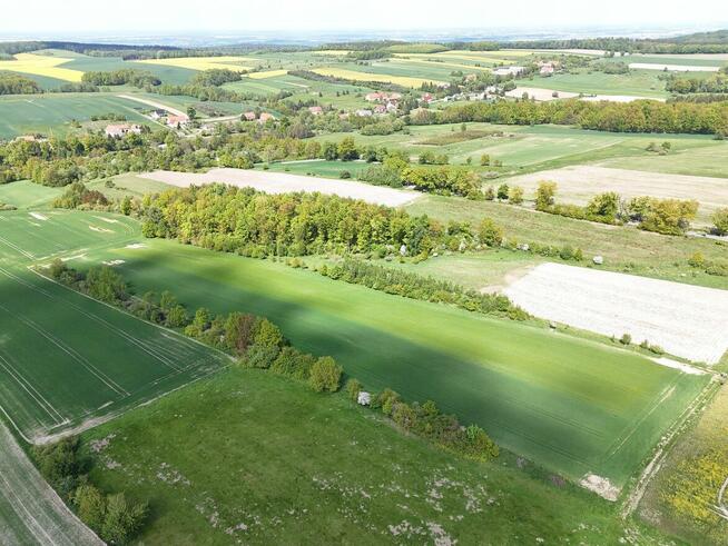 Działka z potencjałem 2,48 ha POMOCNE