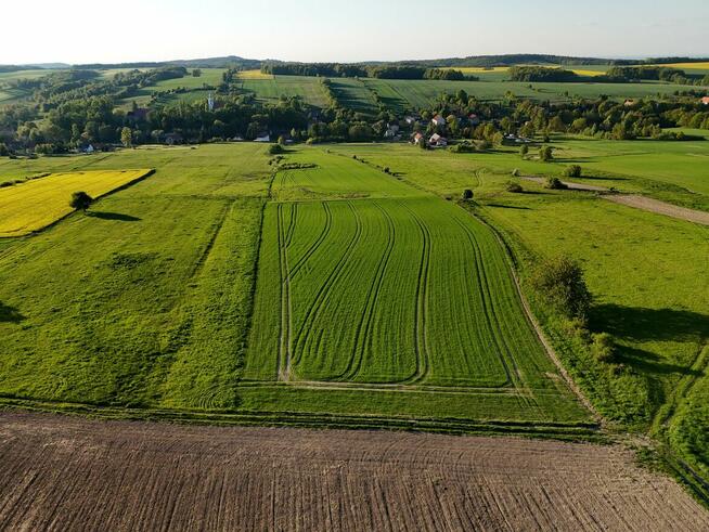Działka rolka POMOCNE 3,25 ha
