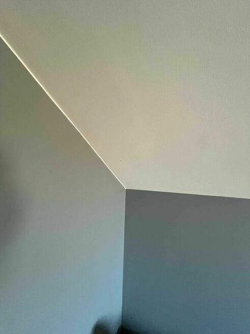 Usługi remontowo-wykończeniowe oraz budowlane.