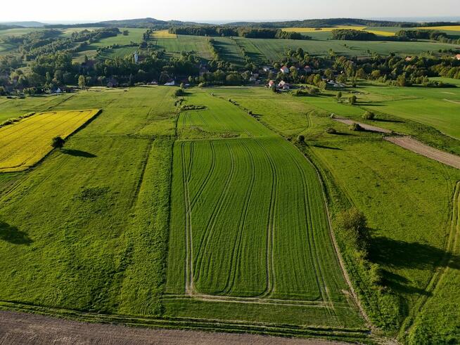 Działka rolka POMOCNE 3,25 ha