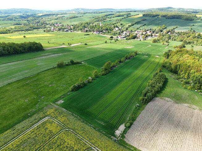 Działka z potencjałem 2,48 ha POMOCNE
