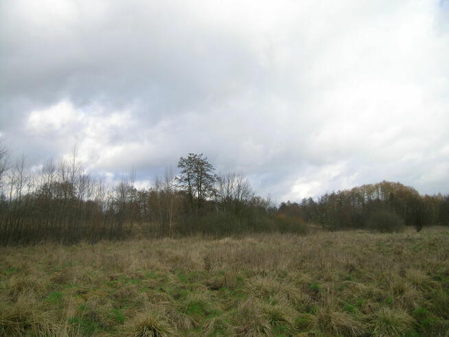 Działka Stargard-Strachocin