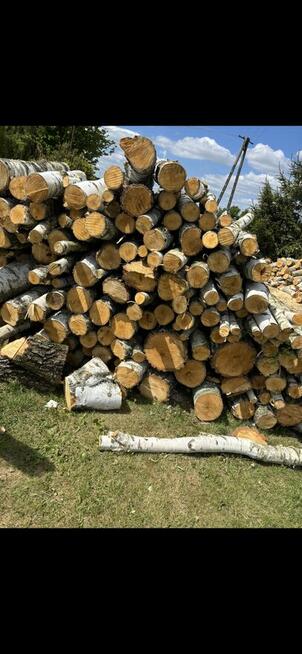Sprzedam drewno kominkowe