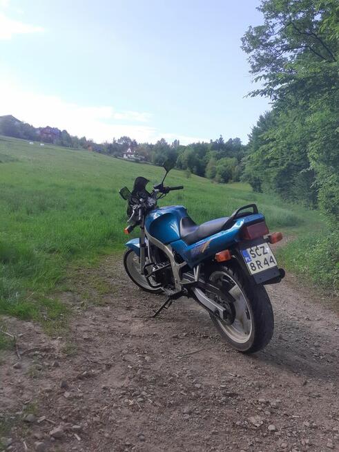 Suzuki GS500
