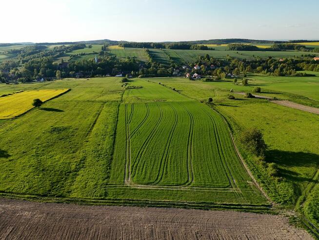 Działka rolka POMOCNE 3,25 ha