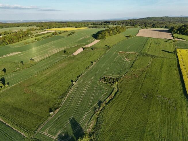 Działka rolka POMOCNE 3,25 ha
