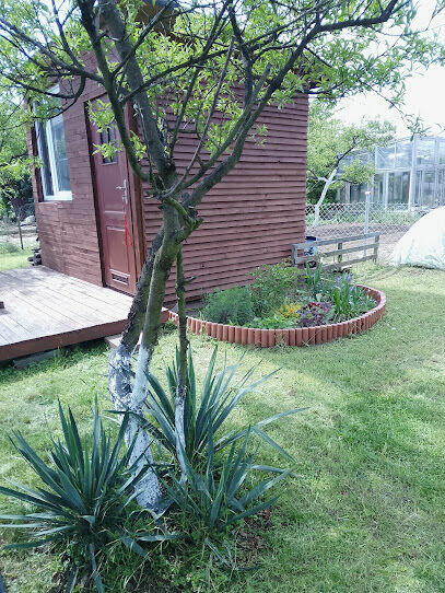 DPRZEDAM DZIAŁKĘ REKREACYJNĄ