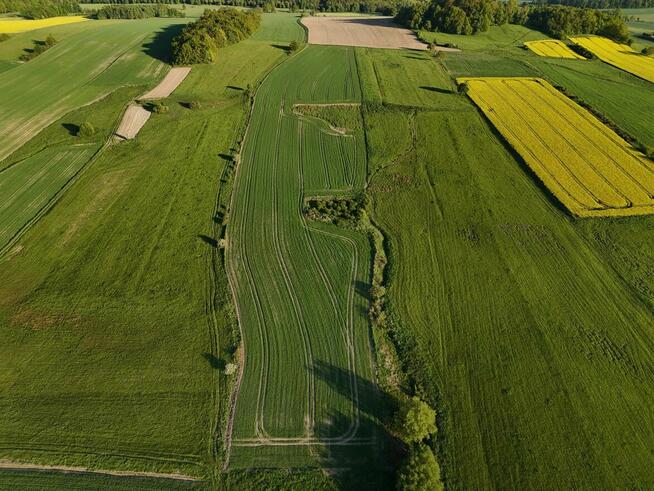 Działka rolka POMOCNE 3,25 ha