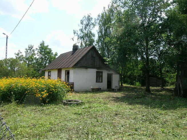 Działka siedliskowa Stare Buczyce
