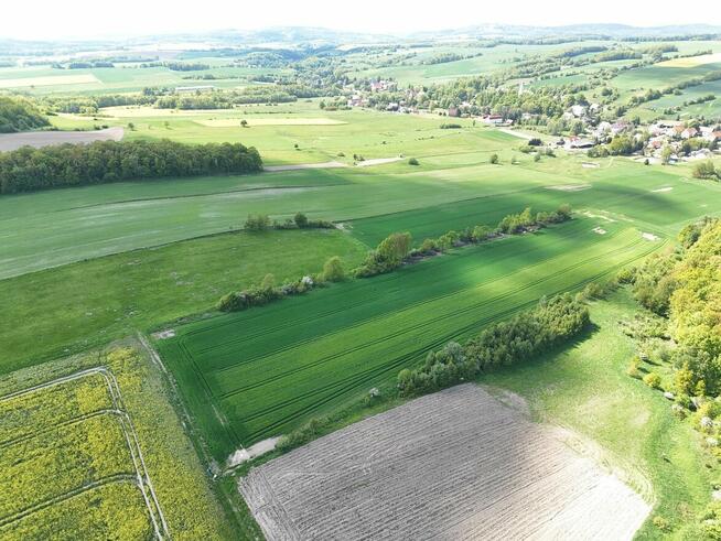 Działka z potencjałem 2,48 ha POMOCNE